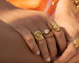 Coquillage et mer