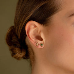 Collection image for: Mini puces d'oreilles