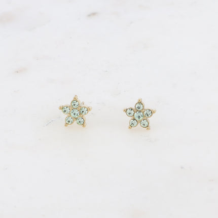 Boucles puces - étoile et oxydes de zirconium