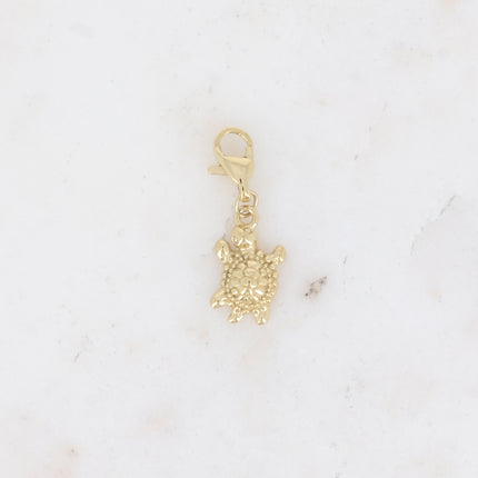 Charm - tortue