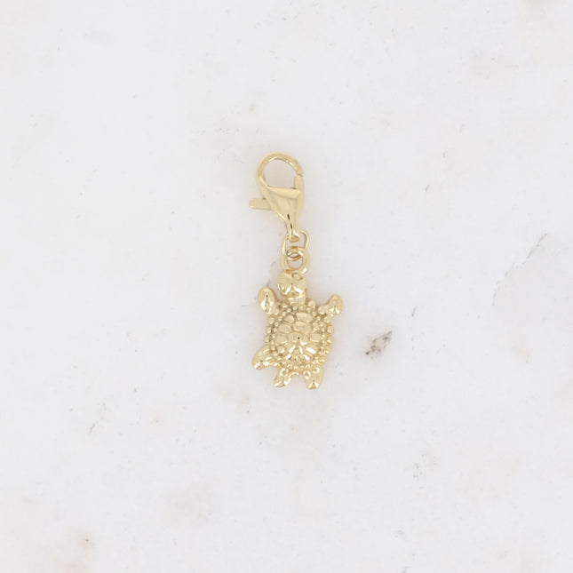 Charm - tortue