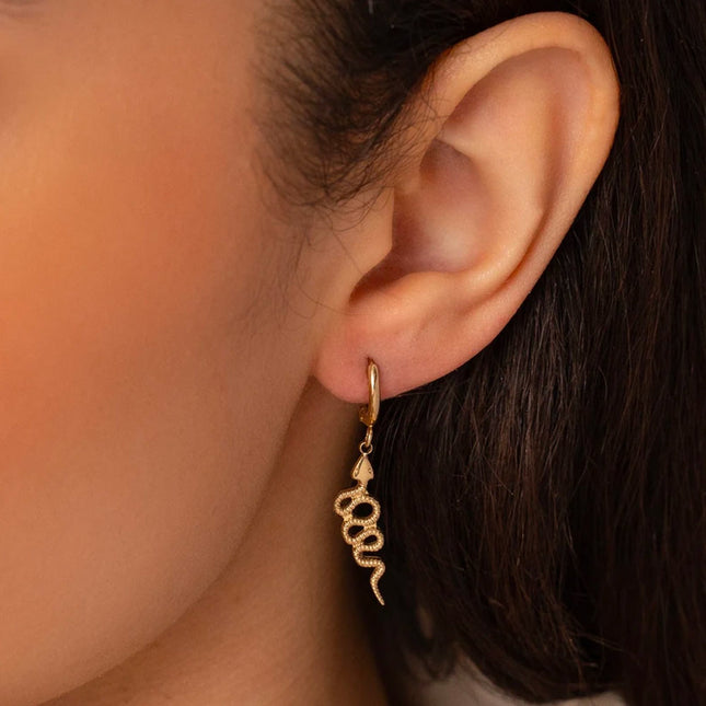 Boucles Alsophis