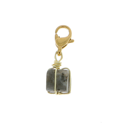 Charm Tim