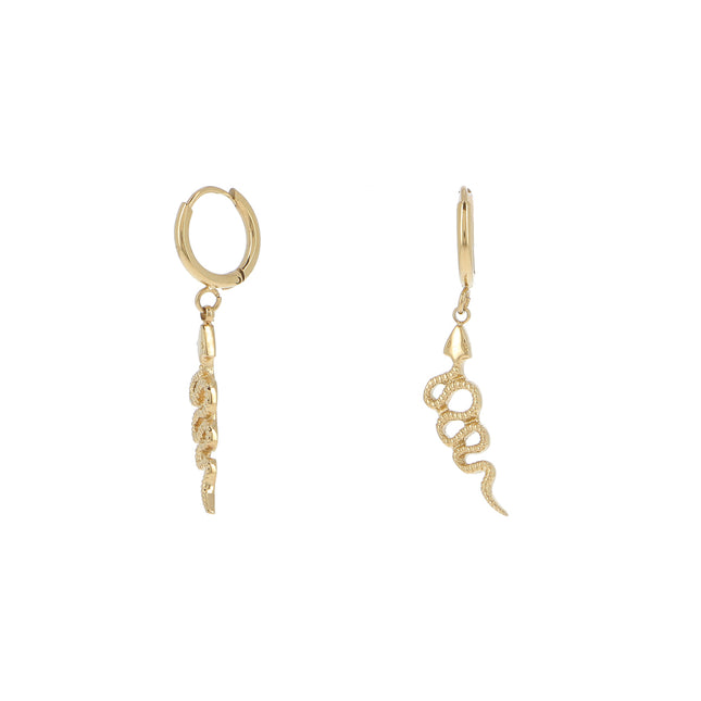 Boucles Alsophis