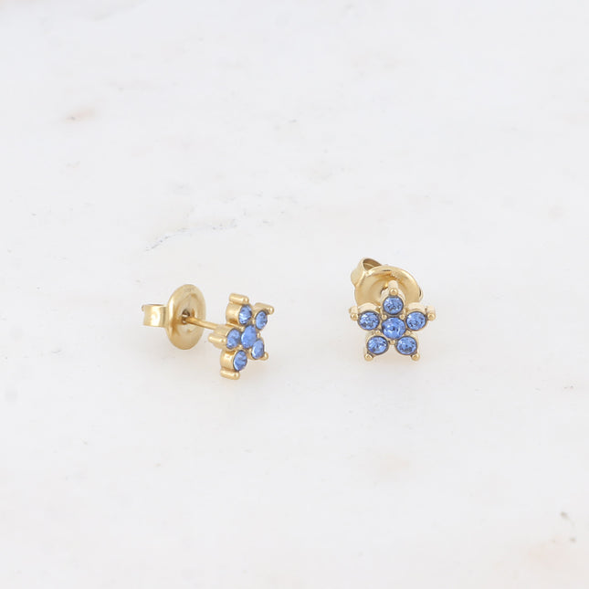 Boucles puces - étoile et oxydes de zirconium