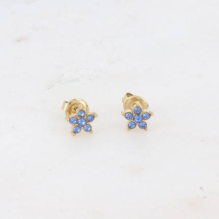 Boucles puces - étoile et oxydes de zirconium