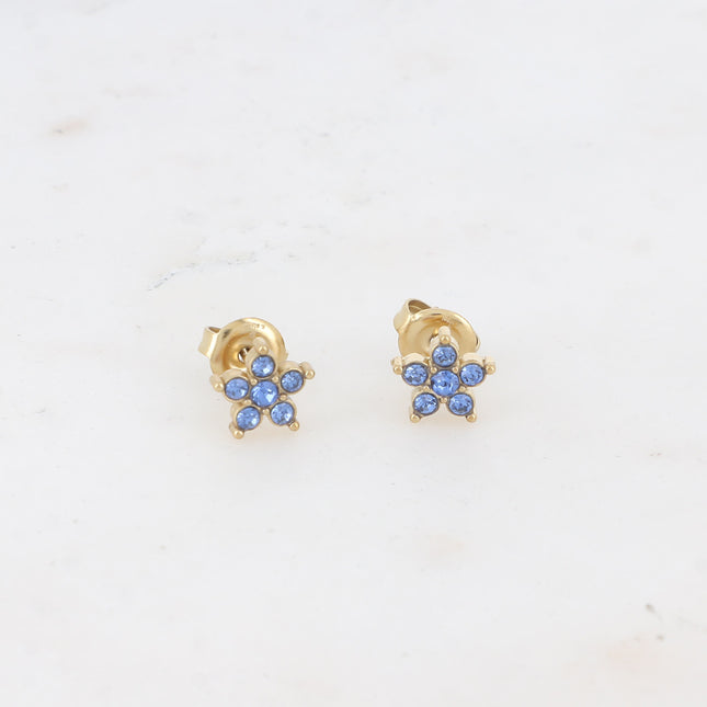 Boucles puces - étoile et oxydes de zirconium