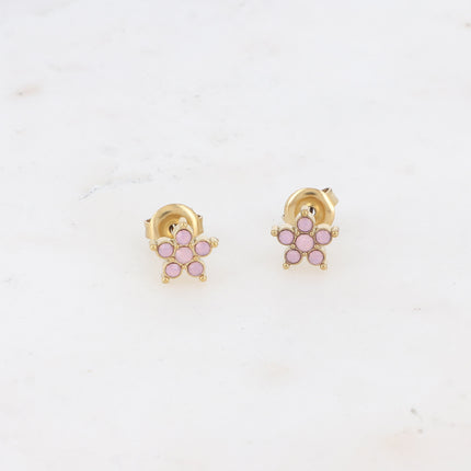 Boucles puces - étoile et oxydes de zirconium