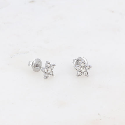 Boucles puces - étoile et oxydes de zirconium