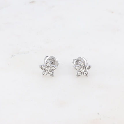 Boucles puces - étoile et oxydes de zirconium