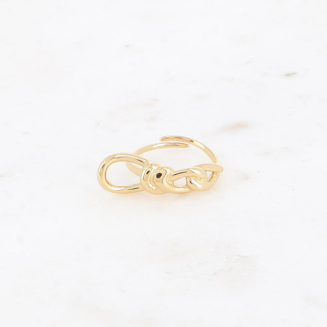 Ring - knot motif
