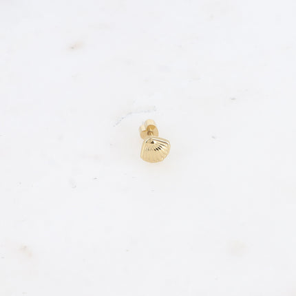 Piercing - coquillage
