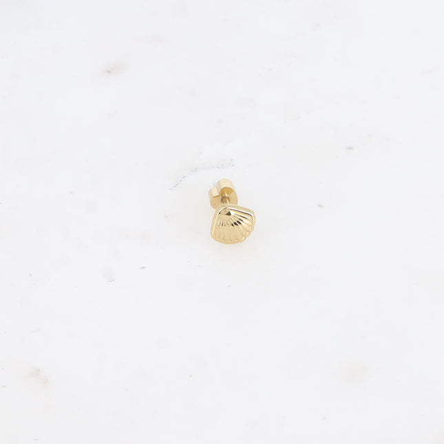 Piercing - seashell