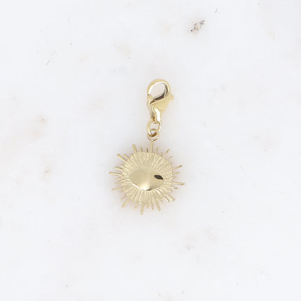 Charm - Eye and Zirconium Oxide