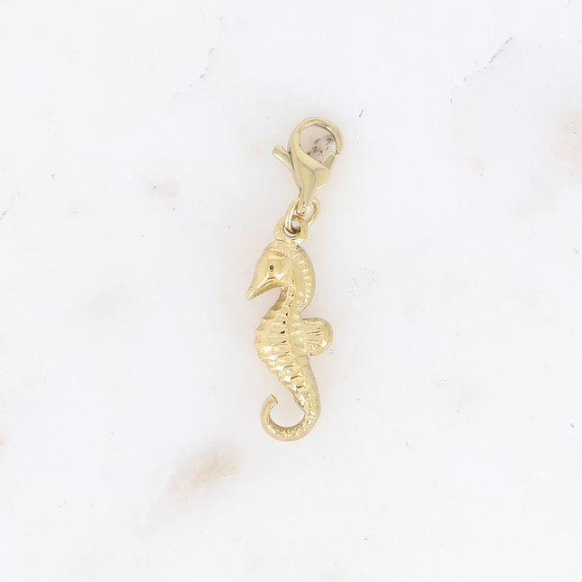 Charm - hippocampe