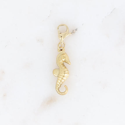 Charm - hippocampe