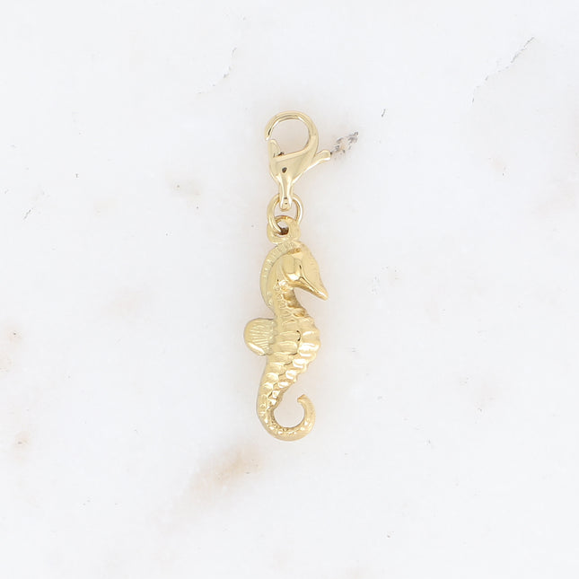 Charm - hippocampe