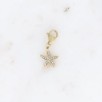Charm - étoile de mer et oxydes de zirconium