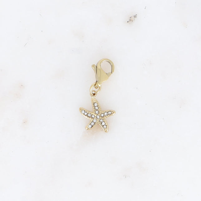 Charm - étoile de mer et oxydes de zirconium
