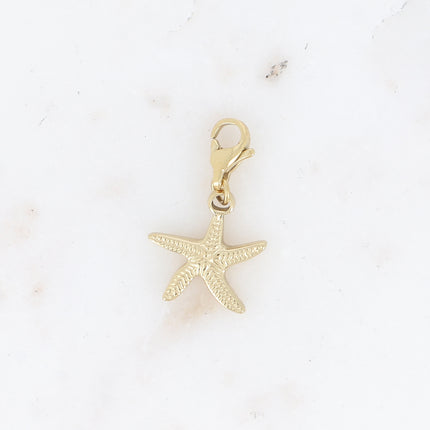 Charm - étoile de mer striée