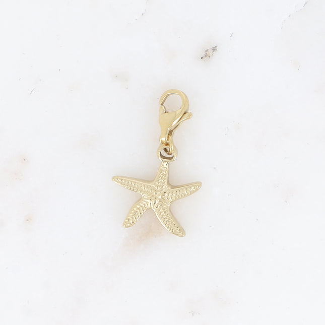 Charm - étoile de mer striée
