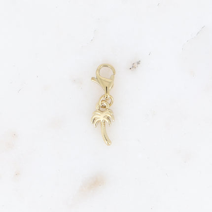 Charm - palmier