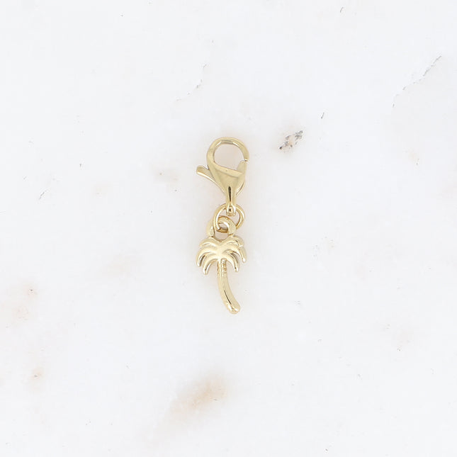 Charm - palmier