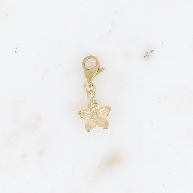 Charm - fleur