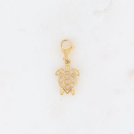 Charm - tortue à la carapace ajourée