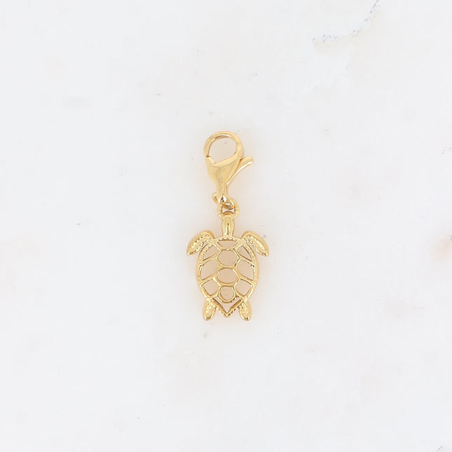 Charm - tortue à la carapace ajourée