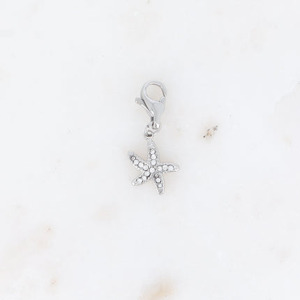 Charm - étoile de mer et oxydes de zirconium