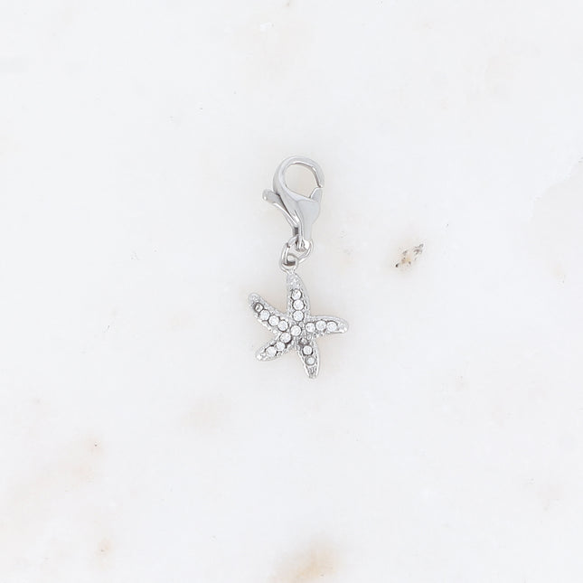 Charm - étoile de mer et oxydes de zirconium