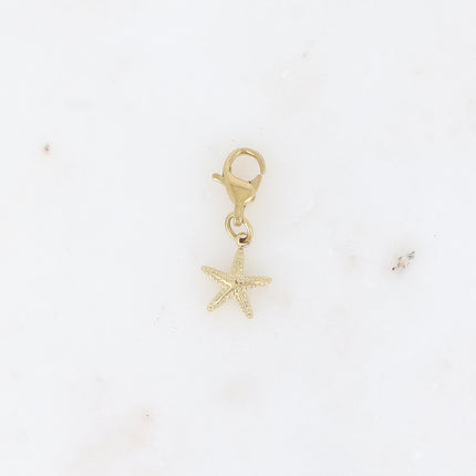 Charm - étoile de mer