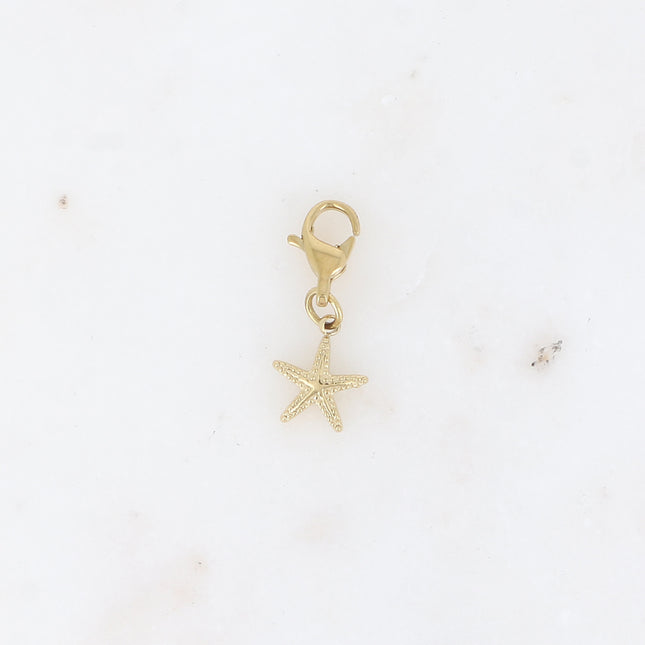 Charm - étoile de mer