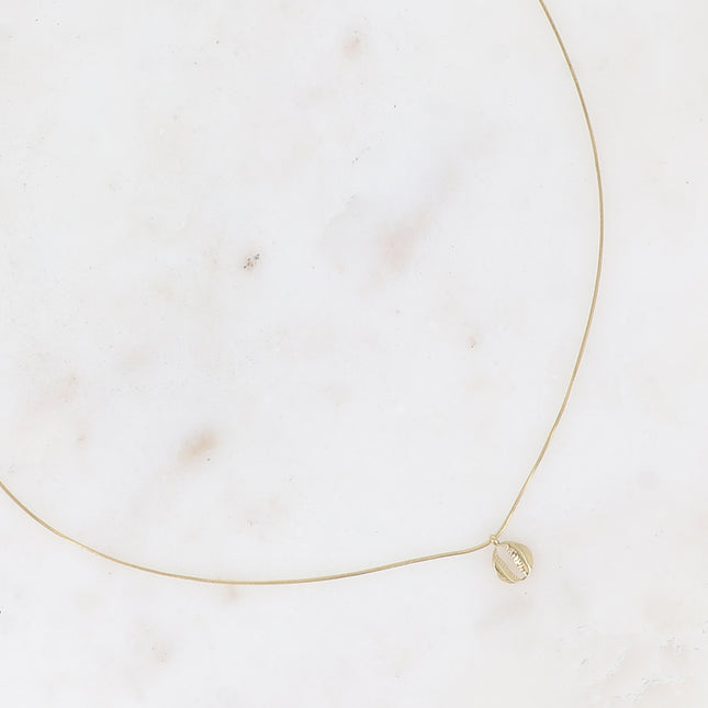 Necklace - fine snake-type chain with small cowrie shell pendant