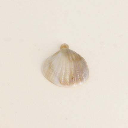 Coquillage M en résine, 6 pièces