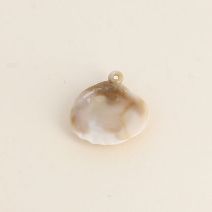 Coquillage M en résine, 6 pièces