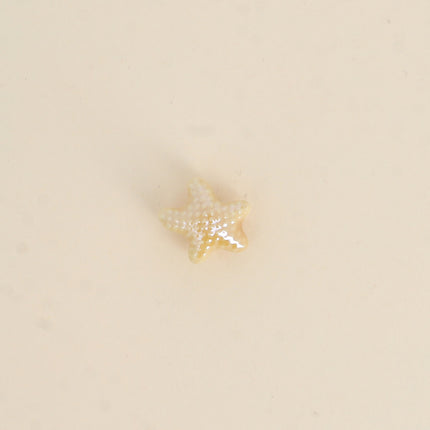 Perle étoile de mer M en céramique et émail
