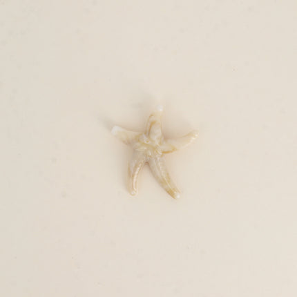 Perle étoile de mer M en résine