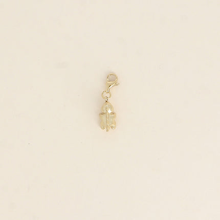 Charm - petit dinosaure avec coeur rouge