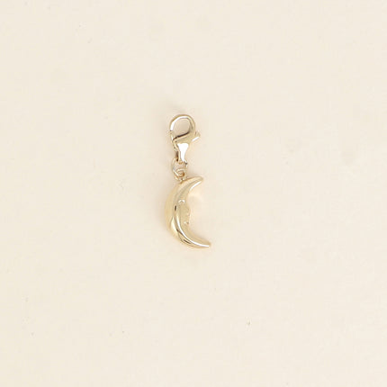 Charm - crescent moon pendant