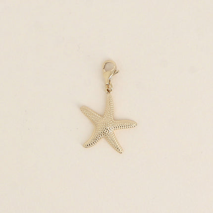 Charm - étoile de mer