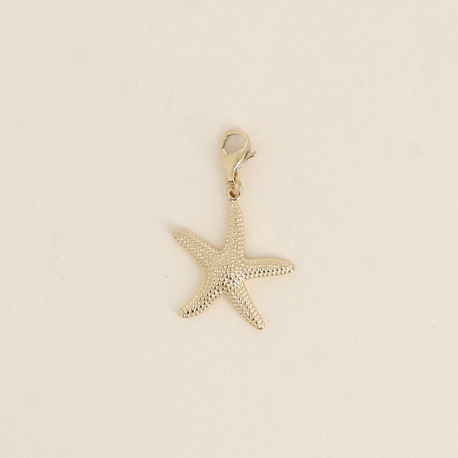 Charm - étoile de mer