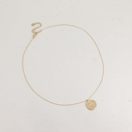 Necklace - round pendant, engraved starry sky and cubic zirconia