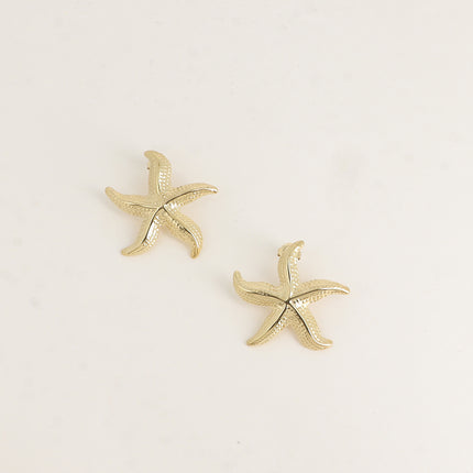 Boucles puces - étoile de mer 33mm