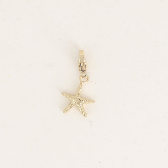 Charm - étoile de mer 12 x 24 mm - Lot de 3 pcs à 2€/pc