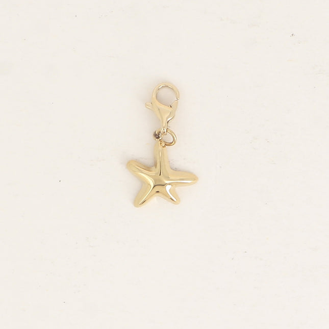 Charm - étoile de mer