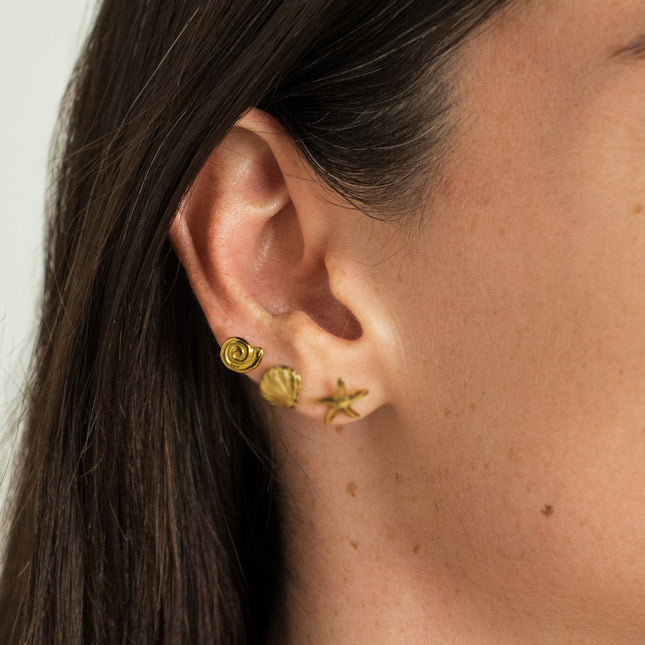 Stud earrings - snail shell