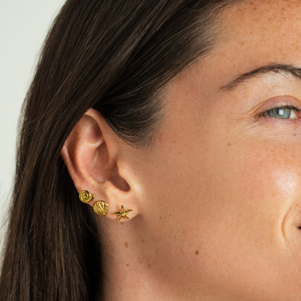 Stud earrings - starfish