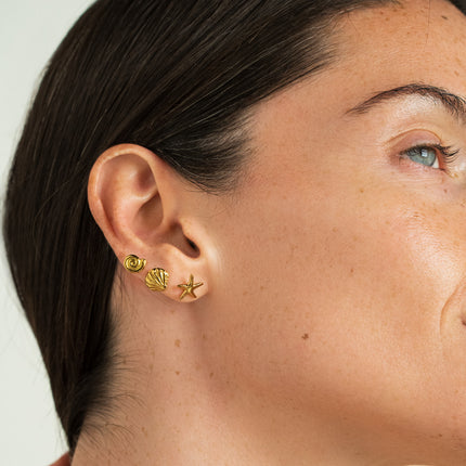 Shell-shaped stud earrings